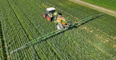 Une usine BASF de Lyon produit et stocke un insecticide pourtant interdit en France